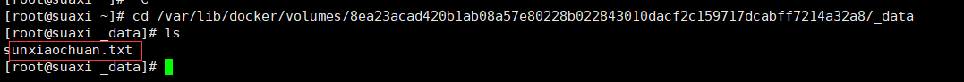 5.4.dockerfile双向绑定.png