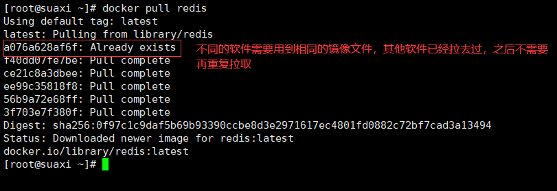 2.redis拉取举例.png
